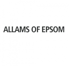 Allams Skoda Epsom